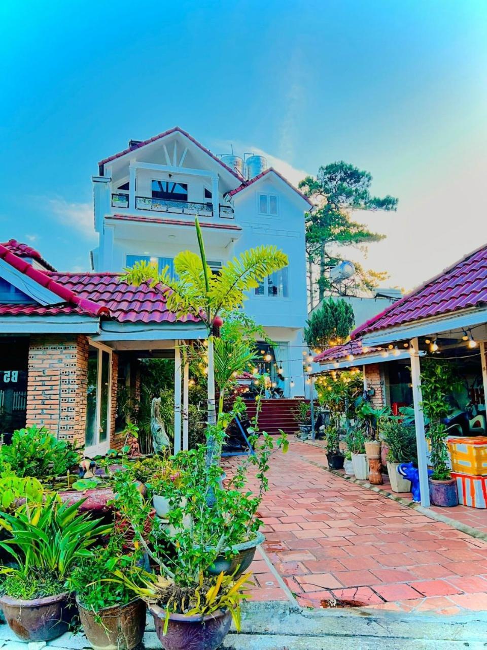 Hoa Chuong - Villa - Homestay Da Lat Eksteriør billede