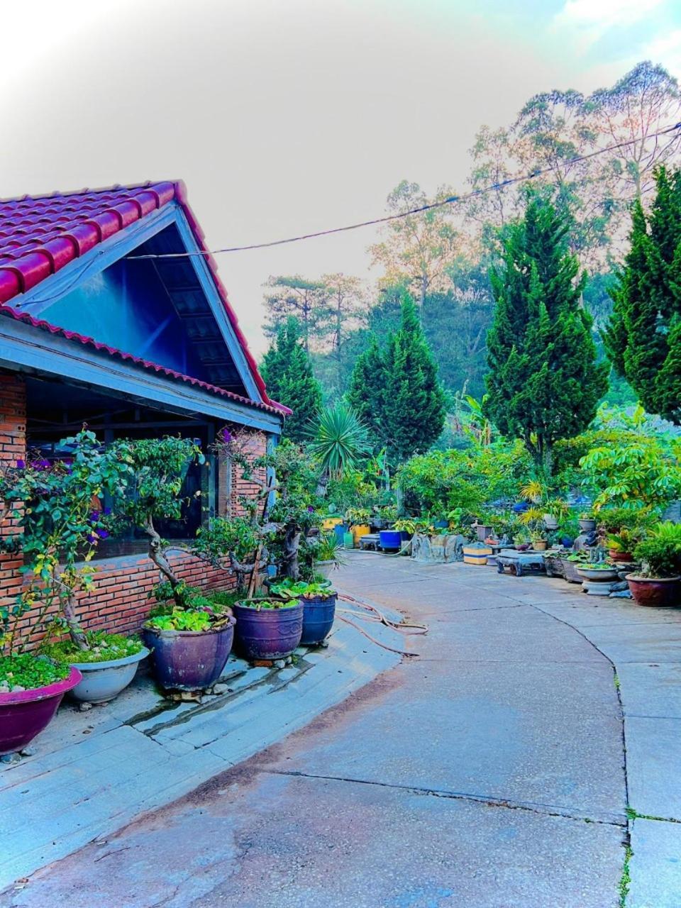 Hoa Chuong - Villa - Homestay Da Lat Eksteriør billede